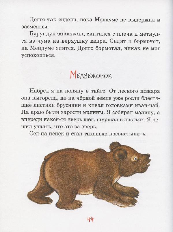 Медведь читать рассказ