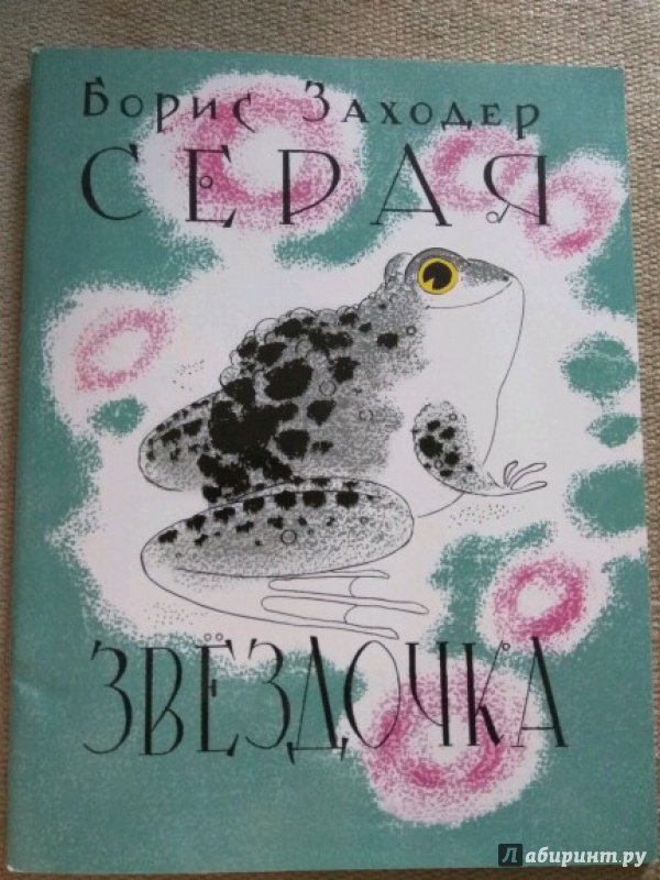 Иллюстрация 47 из 62 для Серая Звёздочка - Борис Заходер | Лабиринт - книги. Источник: Китанина Анастасия