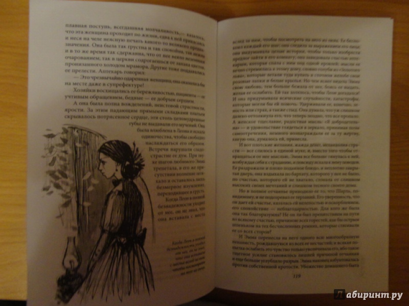 Иллюстрация 9 из 43 для Госпожа Бовари. Саламбо - Гюстав Флобер | Лабиринт - книги. Источник: Kristin