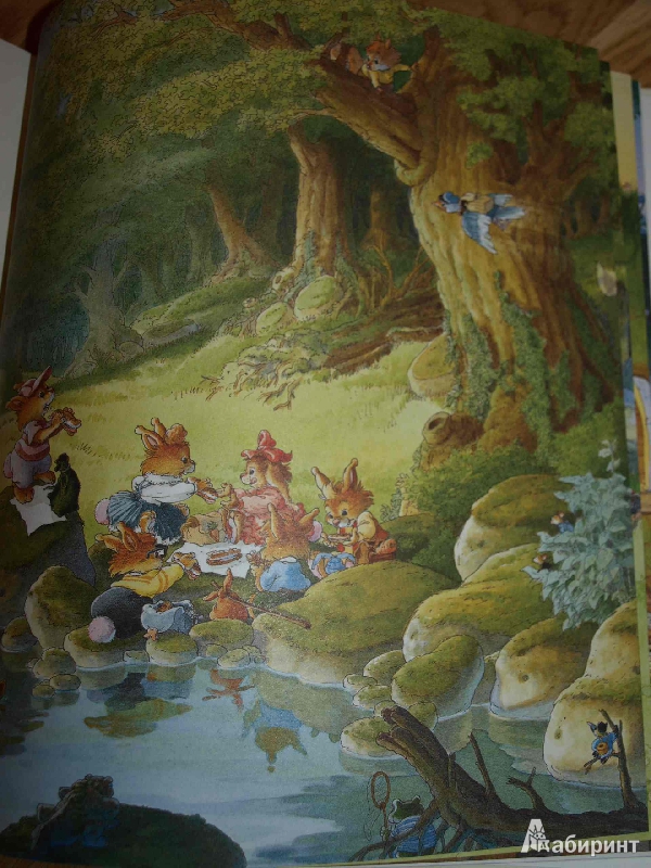 Иллюстрация 12 из 15 для Жили-были кролики (комплект из 3-х книг) - Женевьева Юрье | Лабиринт - книги. Источник: Гусева  Анна Сергеевна