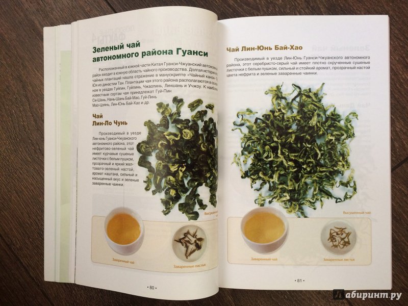 Иллюстрация 15 из 20 для Зеленый чай: оцените китайский чай - Хун Ли | Лабиринт - книги. Источник: Lr