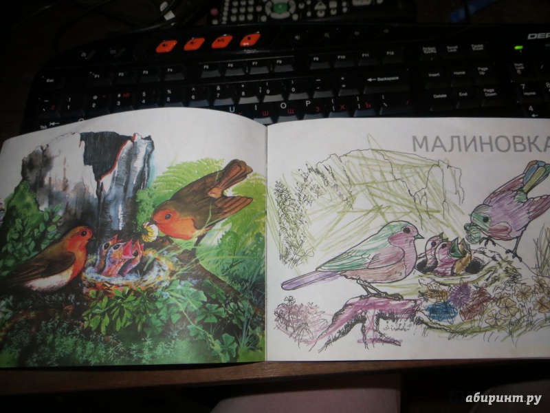 Иллюстрация 7 из 23 для Перелетные птицы | Лабиринт - книги. Источник: Ko-ren
