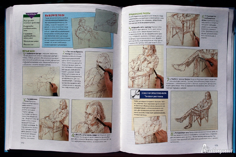 Иллюстрация 21 из 23 для Пастель: Шаг за шагом | Лабиринт - книги. Источник: angel7sky