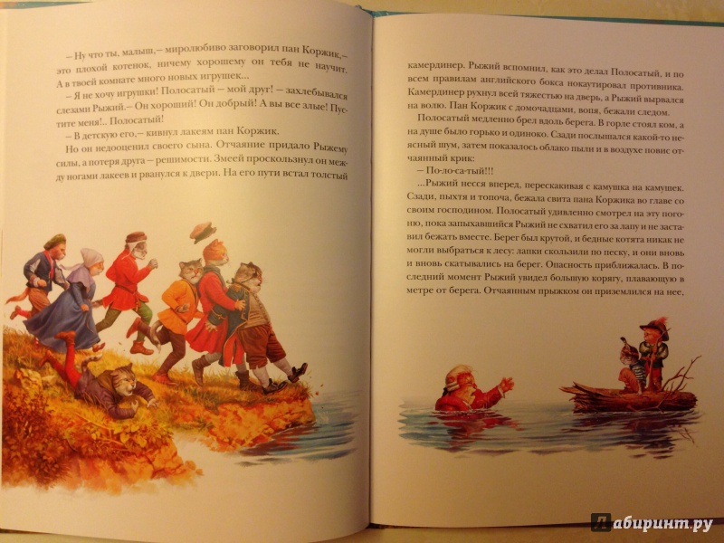 Иллюстрация 8 из 17 для Рыжий и Полосатый - Андрей Белянин | Лабиринт - книги. Источник: Казарова  Анна