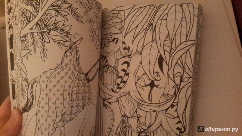 Иллюстрация 17 из 60 для Загадочный лес. Мини-раскраска-антистресс для творчества и вдохновения | Лабиринт - книги. Источник: Lesya_