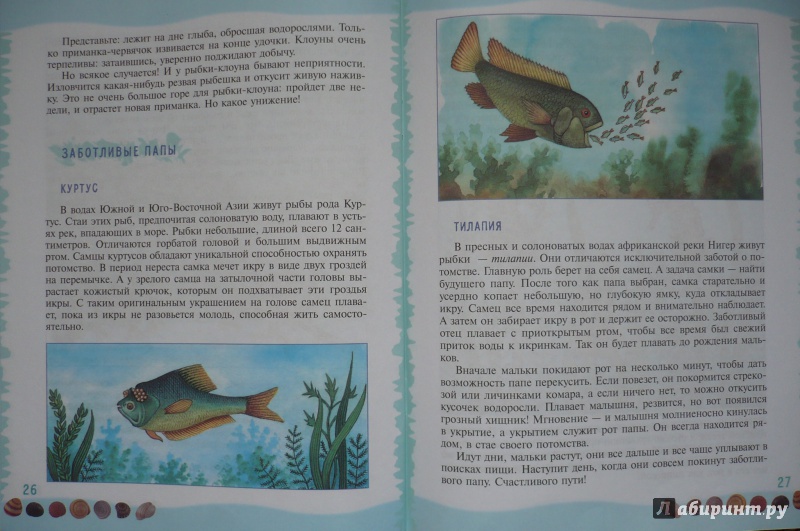 Иллюстрация 8 из 39 для Тайны морского дна: книга для чтения детям - Геннадий Целищев | Лабиринт - книги. Источник: Астанина  Олеся
