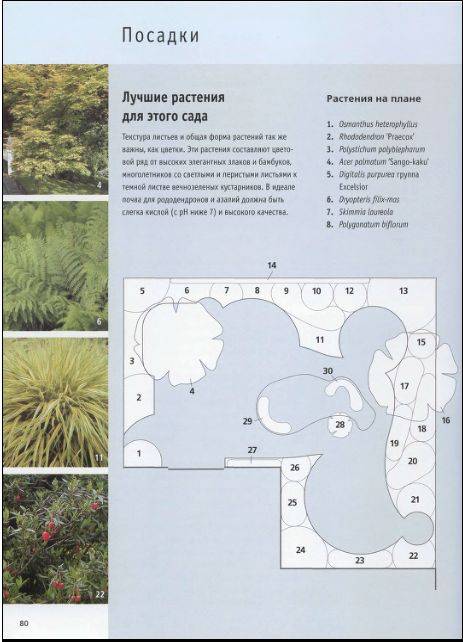 Иллюстрация 23 из 36 для Библия садового дизайна - Тим Ньюбери | Лабиринт - книги. Источник: enotniydrug