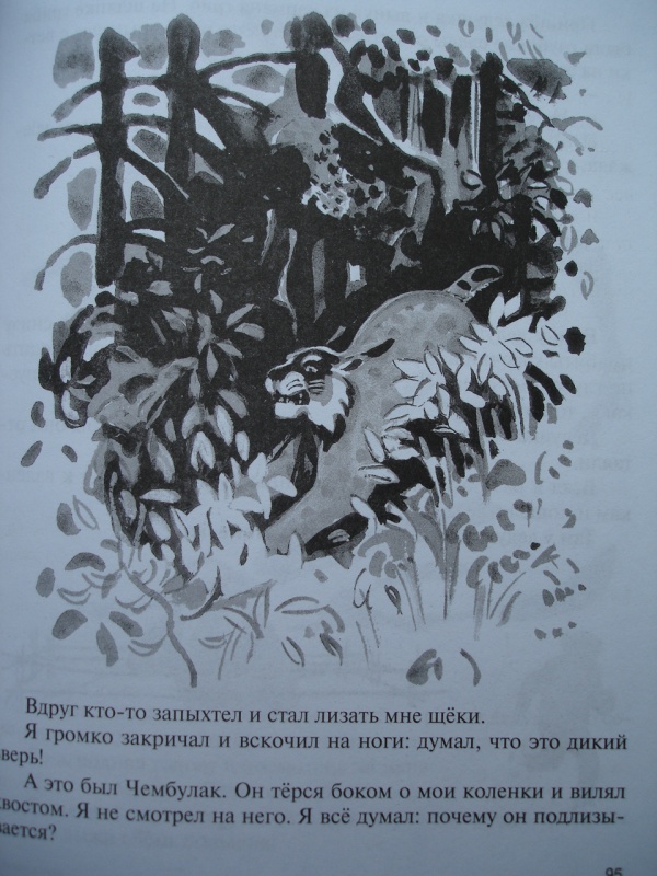 Иллюстрация 11 из 45 для Олени в горах - Геннадий Снегирев | Лабиринт - книги. Источник: Blackboard_Writer