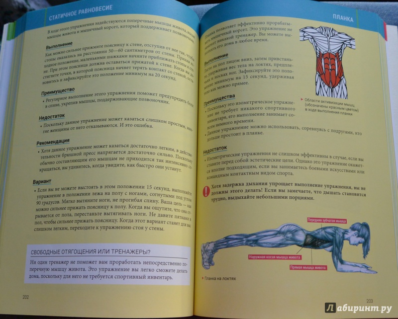 Иллюстрация 32 из 85 для Анатомия силовых тренировок для женщин - Делавье, Гандил | Лабиринт - книги. Источник: IrSh