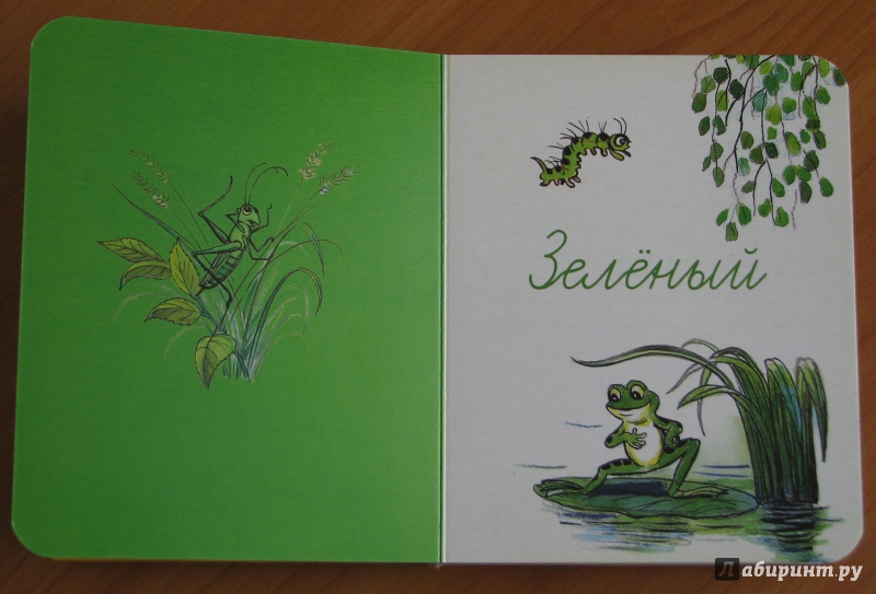Иллюстрация 45 из 57 для Учим цвета по сказкам и картинкам В. Сутеева | Лабиринт - книги. Источник: Штерн  Яна