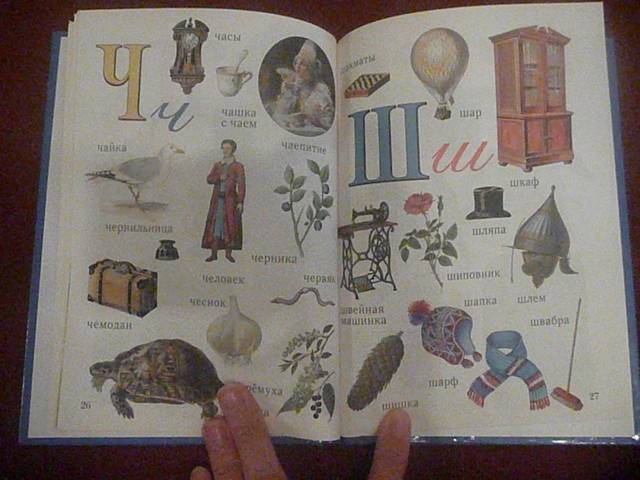 Иллюстрация 12 из 18 для Азбука в картинках. Книга 1 (от 2 до 5 лет) - Наталия Астахова | Лабиринт - книги. Источник: КалинаМалина