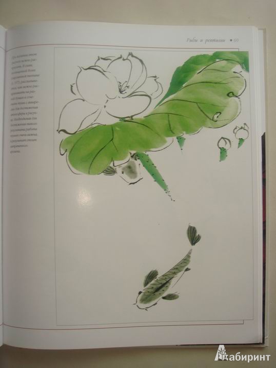 Иллюстрация 29 из 31 для Китайский рисунок кистью: Художественное пособие для начинающих - Полин Шерретт | Лабиринт - книги. Источник: Ryan Kim