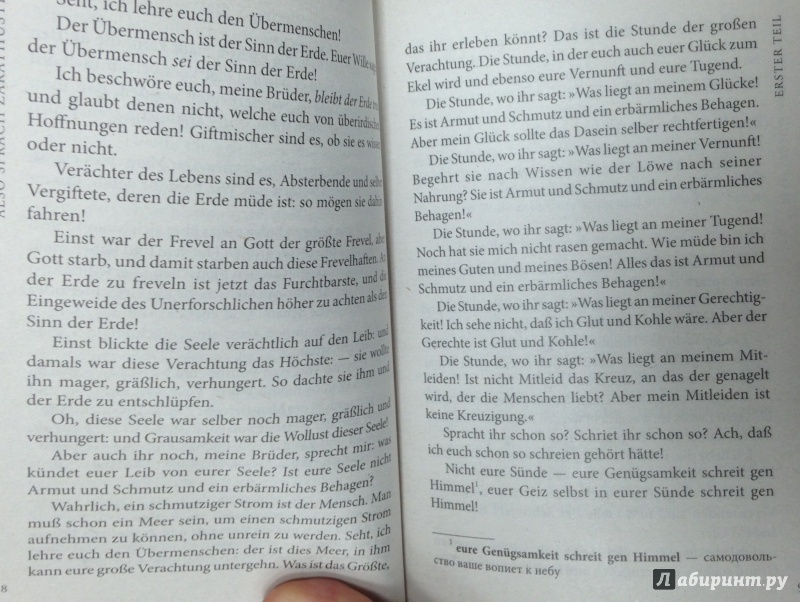 Иллюстрация 7 из 36 для Also Sprach Zarathustra. Ein Buch Fur Alle Und Keinen - Friedrich Nietzsche | Лабиринт - книги. Источник: Tatiana Sheehan