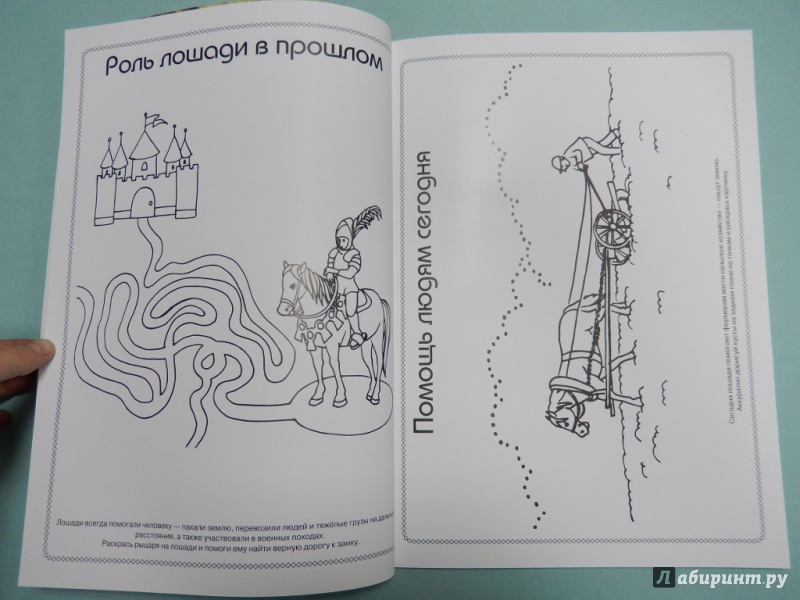 Иллюстрация 4 из 22 для Лошади - Анна Торманова | Лабиринт - книги. Источник: dbyyb