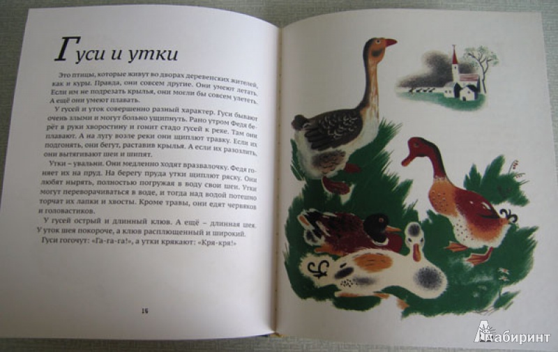 Иллюстрация 18 из 31 для В деревне - Елена Гертик | Лабиринт - книги. Источник: brrrr
