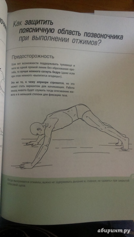 Иллюстрация 11 из 14 для Анатомия упражнений для пресса - Бландин Кале-Жермен | Лабиринт - книги. Источник: Юлия