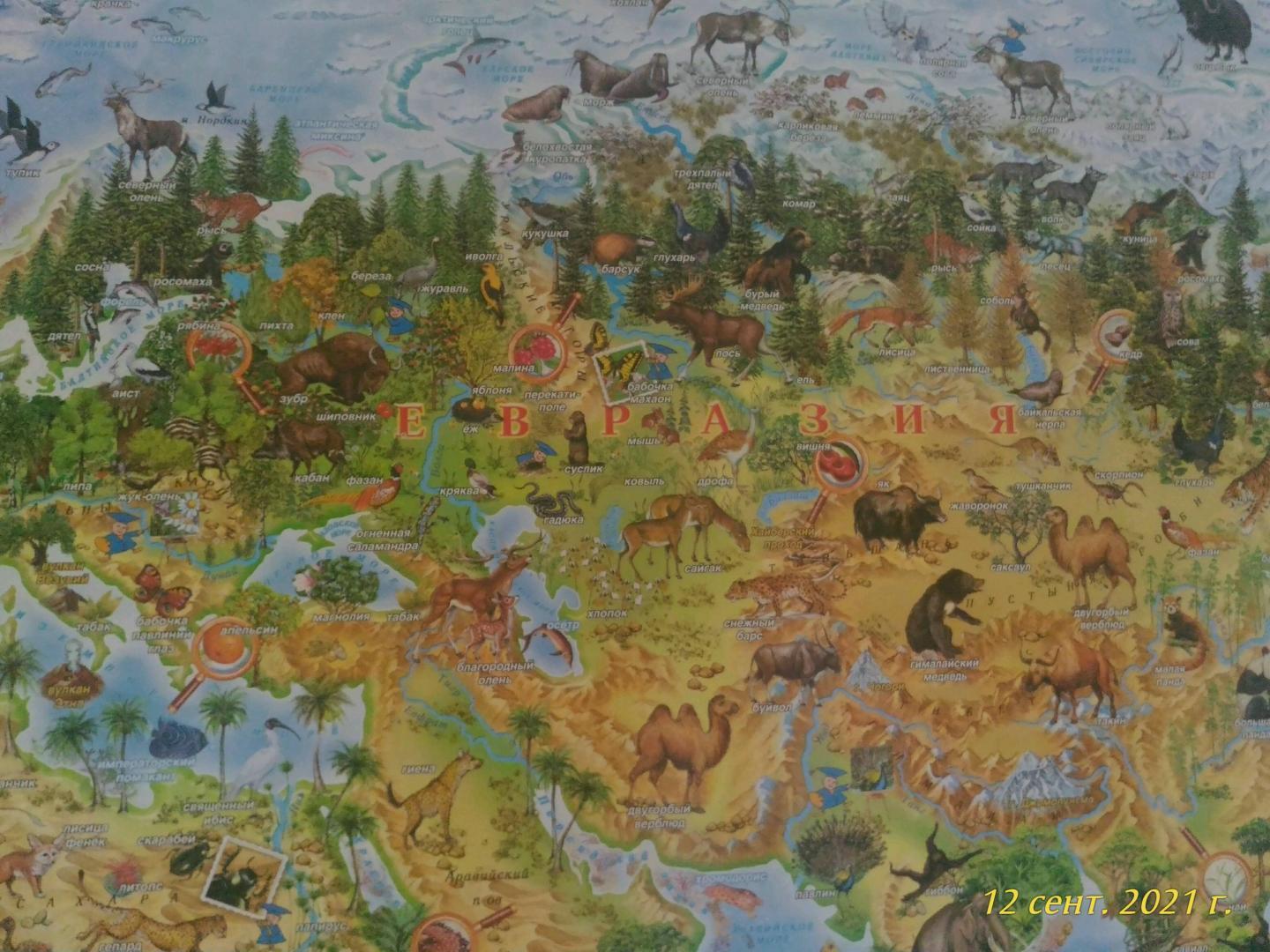 Иллюстрация 30 из 36 для Животный и растительный мир Земли. Детская карта | Лабиринт - книги. Источник: Лабиринт
