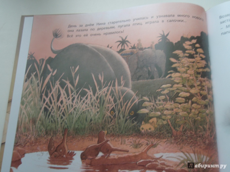 Иллюстрация 18 из 33 для Няня для слоненка - Фатима Шарафеддин | Лабиринт - книги. Источник: Лучик Солнца