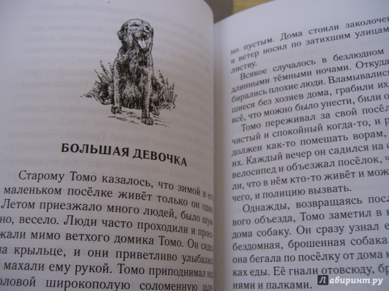 Иллюстрация 9 из 10 для Громила и Рыжик - Татьяна Нилова | Лабиринт - книги. Источник: КошкаПолосатая