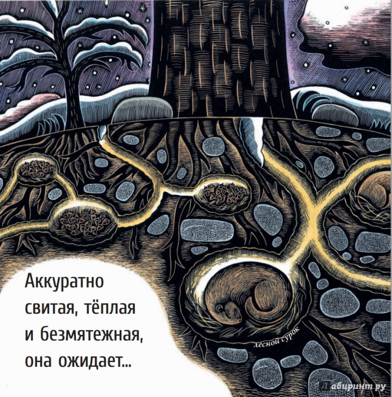Иллюстрация 12 из 65 для Живые спирали - Джойс Сидман | Лабиринт - книги. Источник: Лукина  Мария