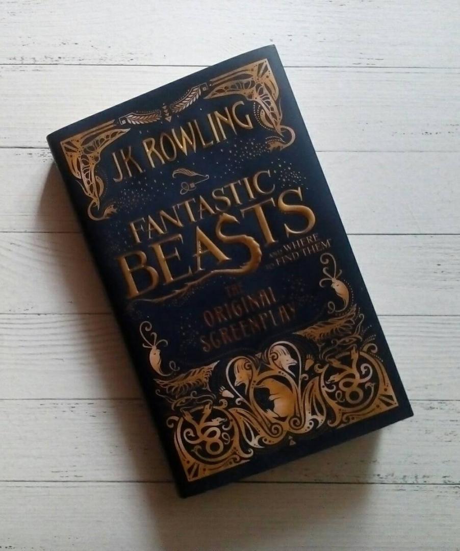 Иллюстрация 12 из 24 для Fantastic Beasts and Where to Find Them. The Original Screenplay - Joanne Rowling | Лабиринт - книги. Источник: Климова Светлана