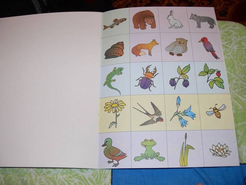 Иллюстрация 11 из 19 для На лесной полянке. Занятия с детьми 2-3 лет | Лабиринт - книги. Источник: Irbis