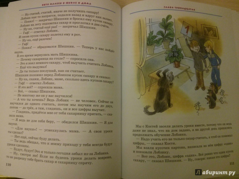 Иллюстрация 38 из 48 для Витя Малеев в школе и дома - Николай Носов | Лабиринт - книги. Источник: Юлия_В