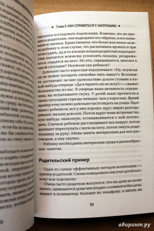 Иллюстрация 7 из 24 для Кризисы детского возраста. "Нет" капризам и истерикам - Елена Ярославцева | Лабиринт - книги. Источник: Террил