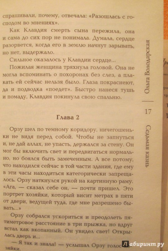 Иллюстрация 15 из 20 для Седьмая казнь - Ольга Володарская | Лабиринт - книги. Источник: NiNon