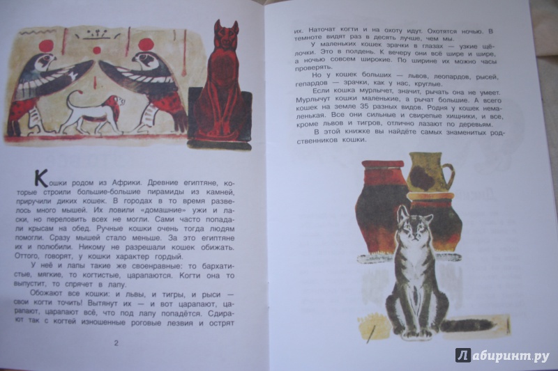 Иллюстрация 29 из 39 для Это все кошки - Игорь Акимушкин | Лабиринт - книги. Источник: kolobus