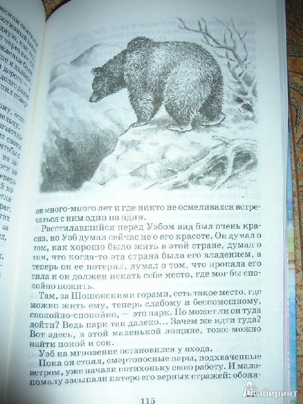 Иллюстрация 6 из 15 для Рассказы о животных - Эрнест Сетон-Томпсон | Лабиринт - книги. Источник: SmileSun