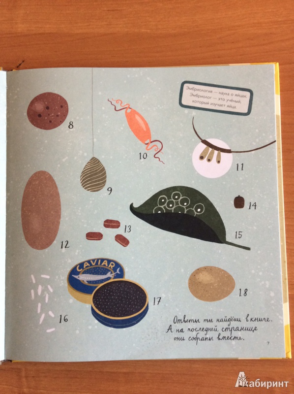 Иллюстрация 23 из 59 для Крутые факты о яйцах - Лена Шёберг | Лабиринт - книги. Источник: mon7409