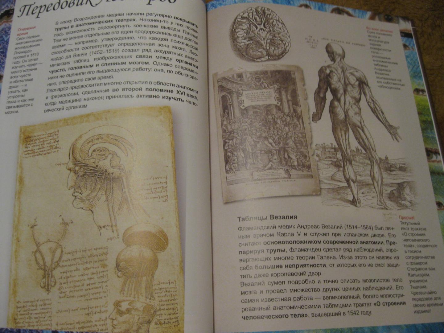 Иллюстрация 35 из 42 для Мозг и тайны мышления - Чианни Ди | Лабиринт - книги. Источник: Колесов  Сергей Александрович