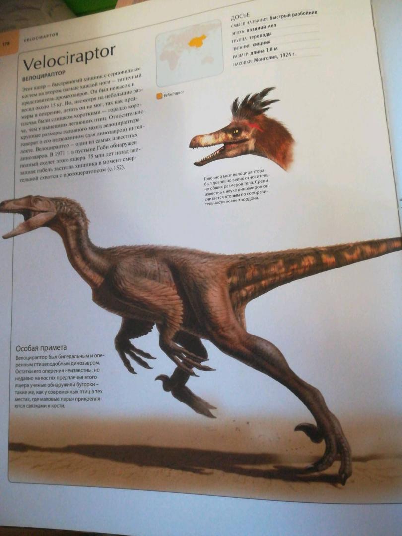 Иллюстрация 52 из 109 для Динозавры. Иллюстрированный атлас - Майкл Бретт-Шуман | Лабиринт - книги. Источник: Трофимова Юлия
