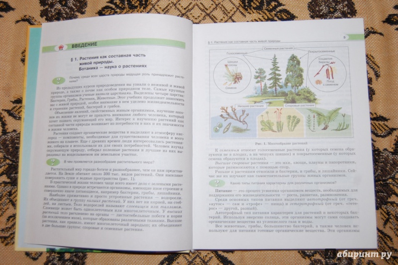 Иллюстрация 4 из 34 для Биология. Растения, бактерии, грибы, лишайники. 6 класс. Учебник - Трайтак, Трайтак | Лабиринт - книги. Источник: evil_academic