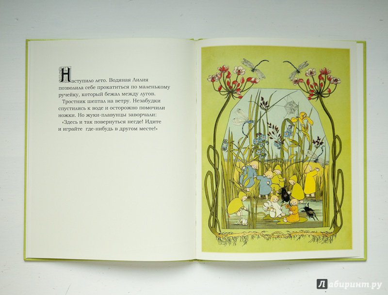 Иллюстрация 4 из 23 для Детки Матушки Земли - фон Олферс | Лабиринт - книги. Источник: Строчинская  Надежда