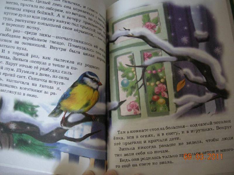 Иллюстрация 3 из 5 для Синичкин календарь - Виталий Бианки | Лабиринт - книги. Источник: Honeyed