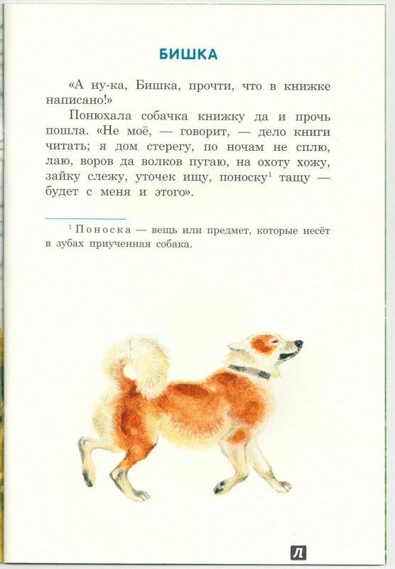 Иллюстрация 28 из 46 для Бишка - Константин Ушинский | Лабиринт - книги. Источник: Книжный кот