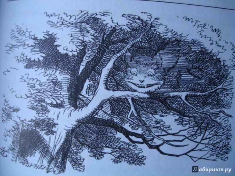 Иллюстрация 50 из 74 для Алиса в стране чудес. Алиса в Зазеркалье - Льюис Кэрролл | Лабиринт - книги. Источник: Blackboard_Writer