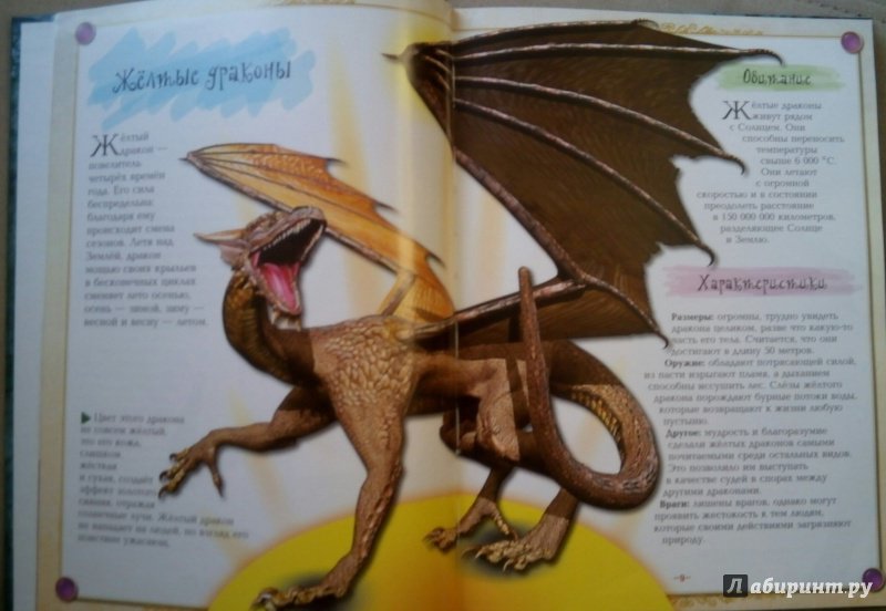 Иллюстрация 16 из 45 для Драконы, монстры и другие фантастические создания | Лабиринт - книги. Источник: Лабиринт