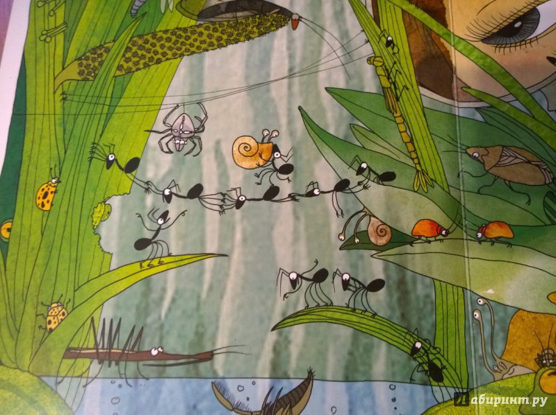 Иллюстрация 31 из 43 для Что делают муравьи | Лабиринт - книги. Источник: abricoss