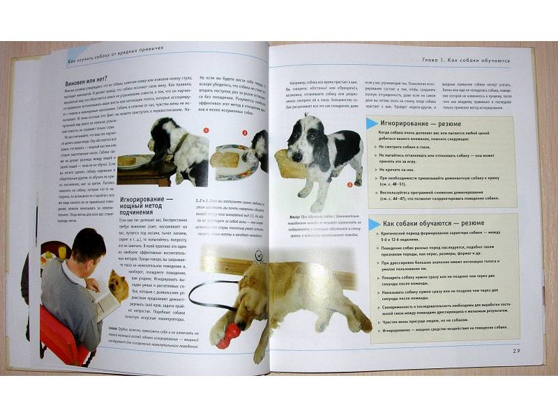 Иллюстрация 16 из 42 для Как отучить собаку от вредных привычек - Колин Теннант | Лабиринт - книги. Источник: Rocio
