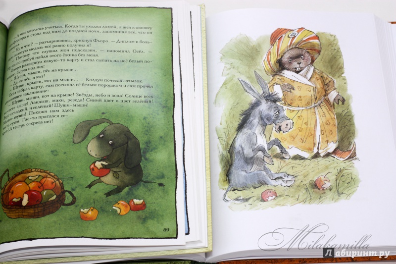 Иллюстрация 104 из 224 для Серёжик - Елена Ракитина | Лабиринт - книги. Источник: Букландия