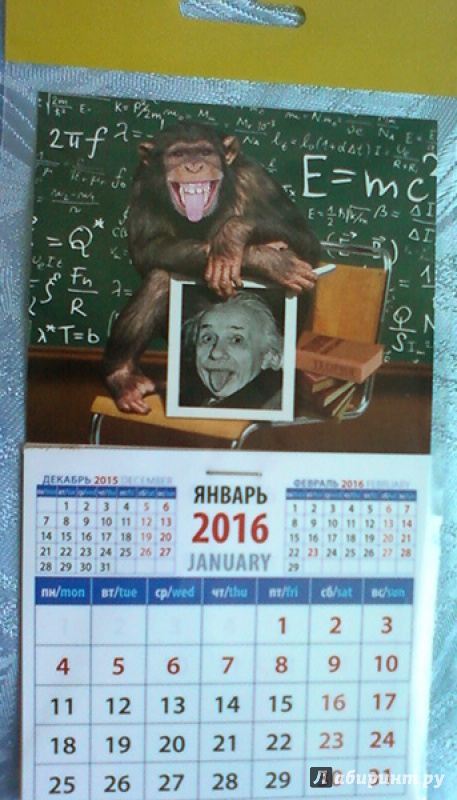 Иллюстрация 2 из 2 для Календарь на магните 2016. Год обезьяны. Шимпанзе  с портретом Эйнштейна (20638) | Лабиринт - сувениры. Источник: Шадрина  Наталья