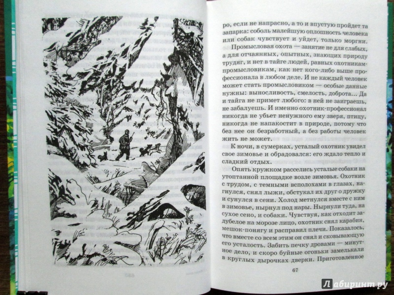 Иллюстрация 7 из 13 для Живая душа - Л. Трутнев | Лабиринт - книги. Источник: Зеленая шляпа