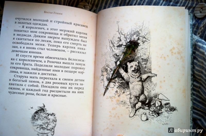 Иллюстрация 52 из 68 для Сказки - Гримм Якоб и Вильгельм | Лабиринт - книги. Источник: Fly