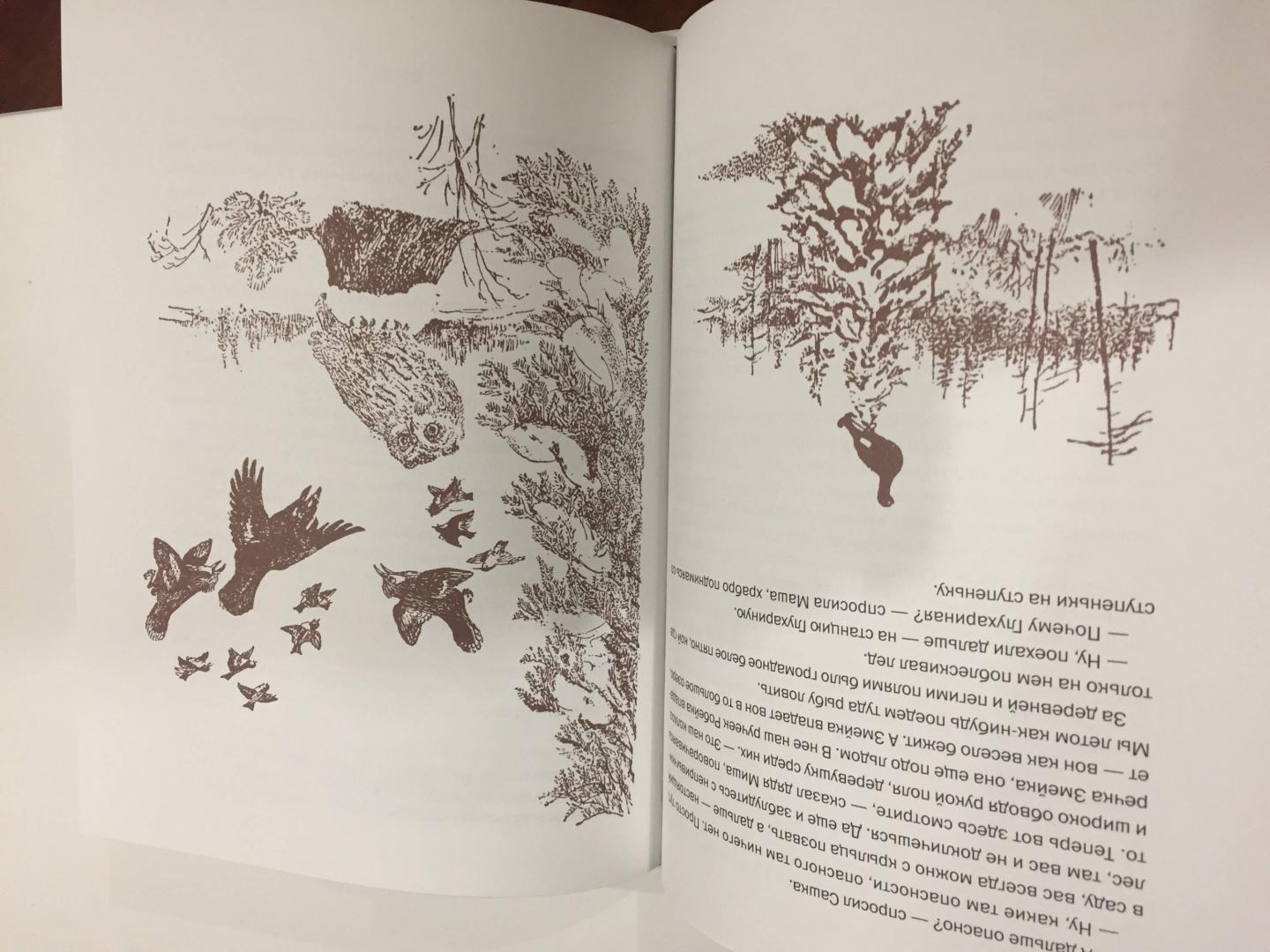 Иллюстрация 38 из 38 для Я учил их птицам - Виталий Бианки | Лабиринт - книги. Источник: Реснова  Евгения