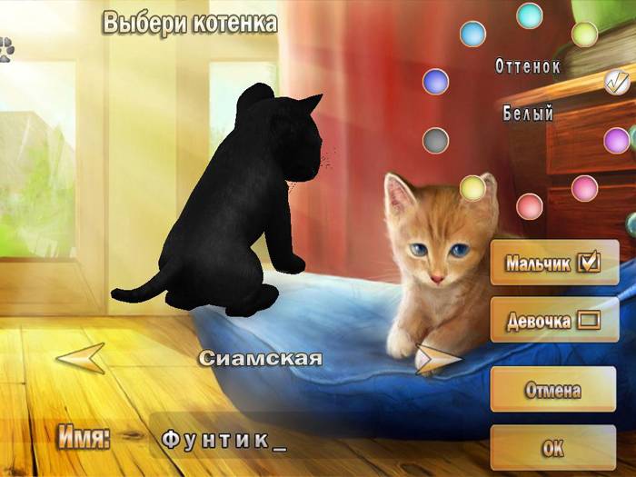 Иллюстрация 1 из 11 для 101 любимчик. Забавные котята (CDpc) | Лабиринт - . Источник: Galia