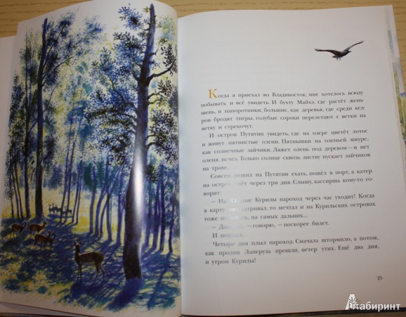 Иллюстрация 34 из 58 для Рассказы о природе, о птицах зверях и разных краях - Геннадий Снегирев | Лабиринт - книги. Источник: КНИЖНОЕ ДЕТСТВО