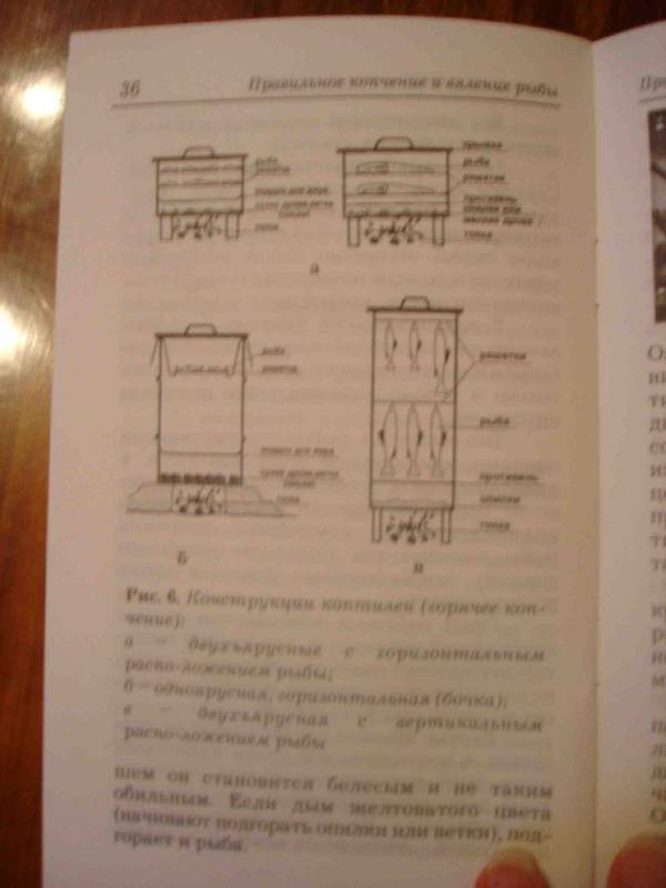 Иллюстрация 5 из 6 для Правильное копчение и вяление рыбы - Пышков, Смирнов | Лабиринт - книги. Источник: Медведева  Юлия